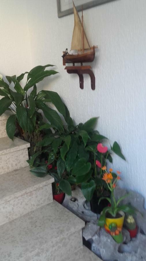 Apartment Bojana ノヴィ・ヴィノドロスキー エクステリア 写真